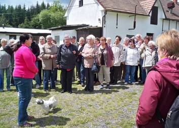 Úchvatný Svatojánský výlet do Posázaví