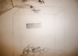 Nikola - Budu pomáhat financemi