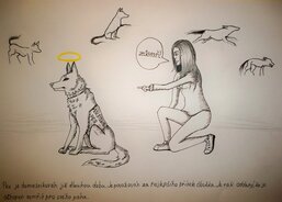 Veronika - Jedná se o obrázek, kde je asistenční pes a jeho cvičitel.