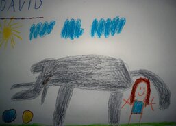 David - Budu se starat o slony