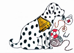 II. Dambourskay Katsiarina; Výcvik