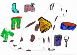 II. Doležalová Anna; Výcvik asistenčního psa