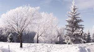 Zamyšlení po Vánocích