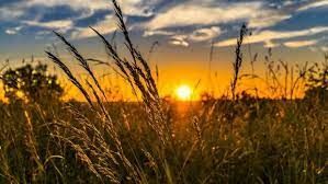 Prázdninové zamyšlení