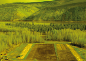 Filmový klub pokračuje ve čtvrtek 17. srpna